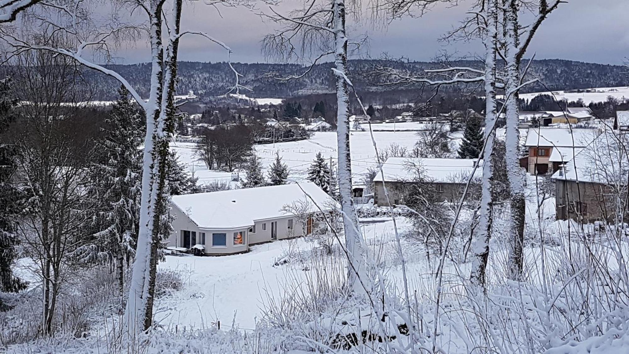 La villa de Vichibure Corcieux Eksteriør billede